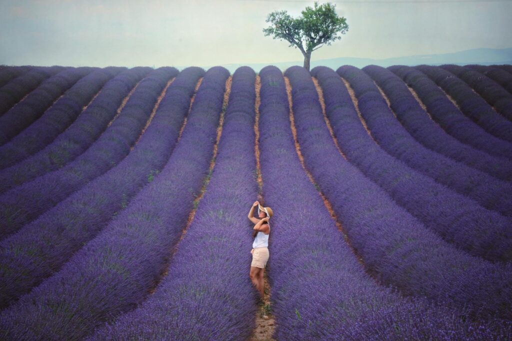 Private Dining Blog by Chef Francis 85 essential oils