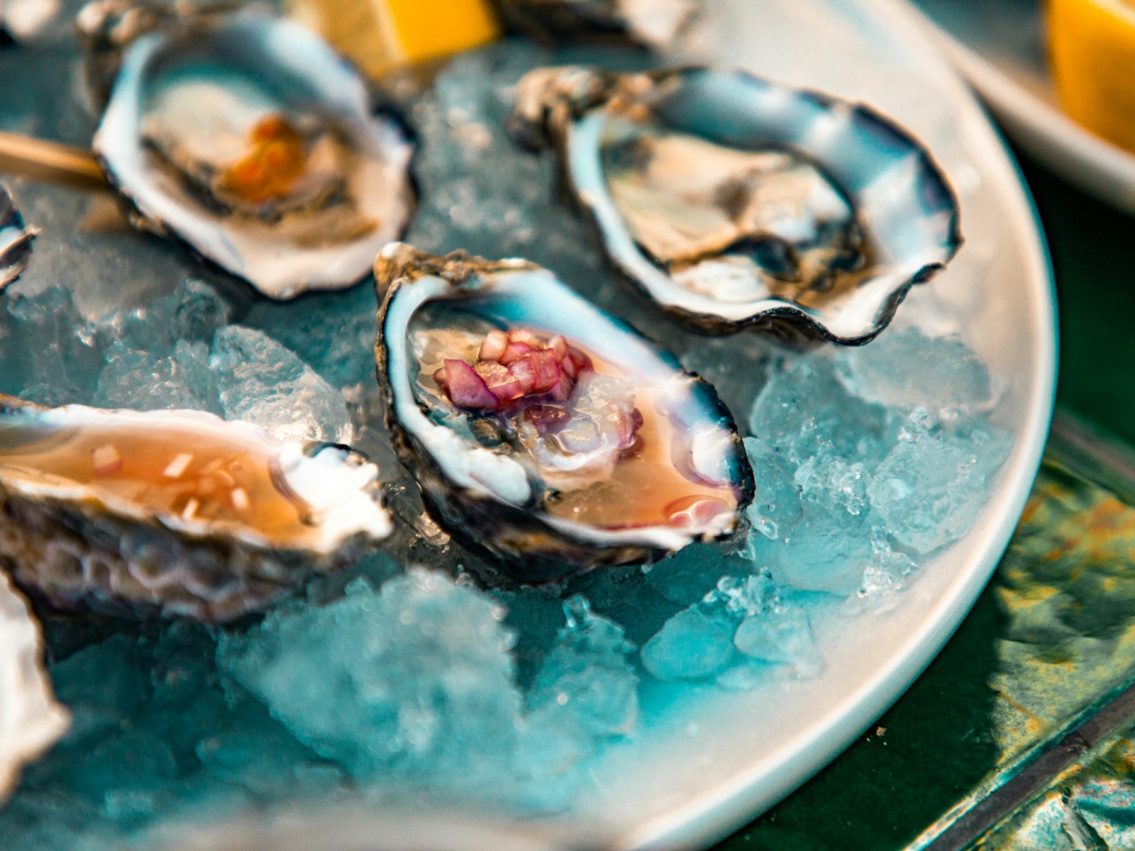 Fresh Caught Oysters
