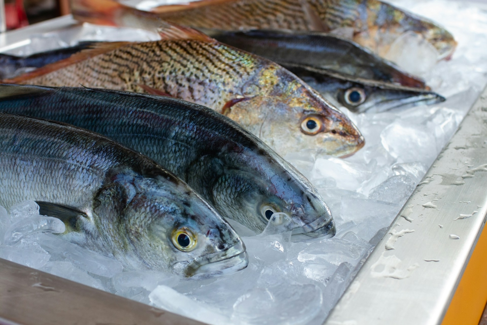 fishmongers