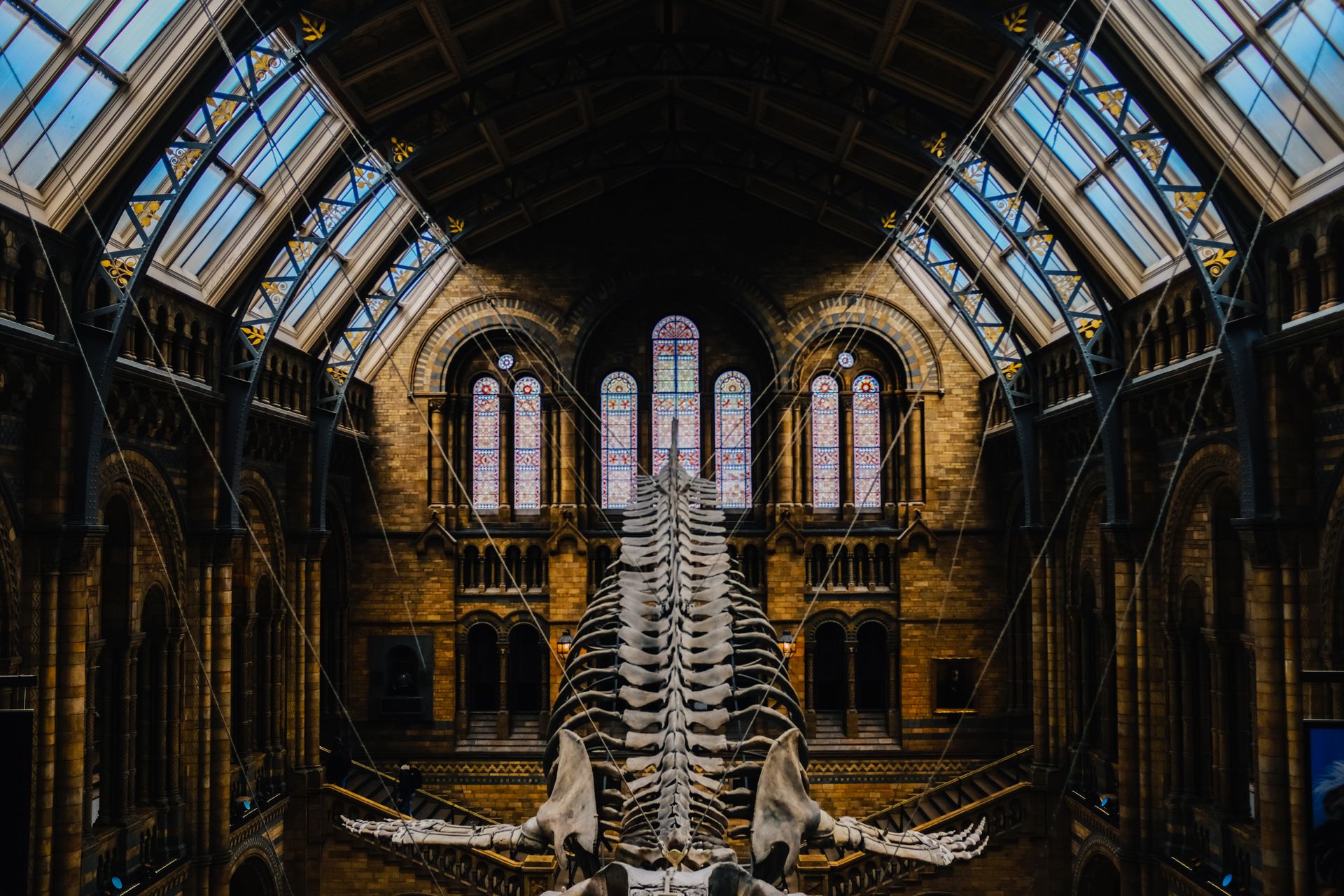 dinosaur in museum for dinner party